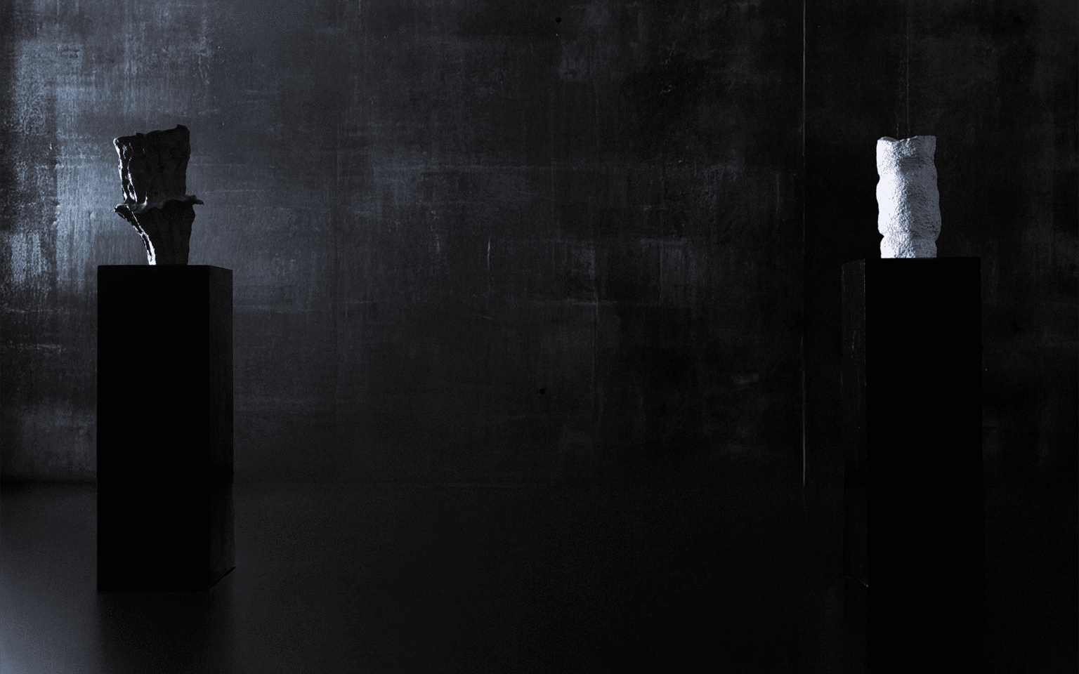 1/2 installation view