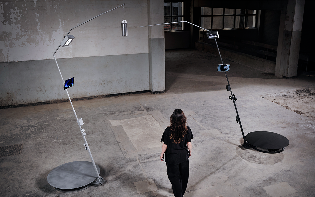 1/7 installation view