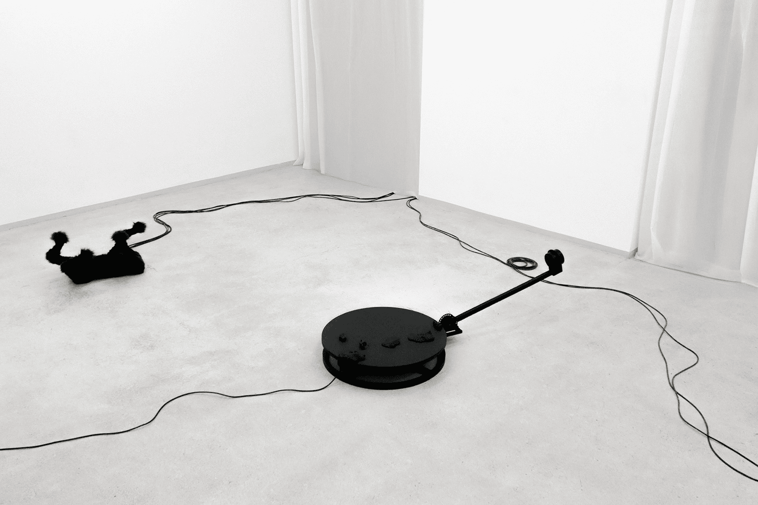 3/5 Photo by Niki Pielsticker