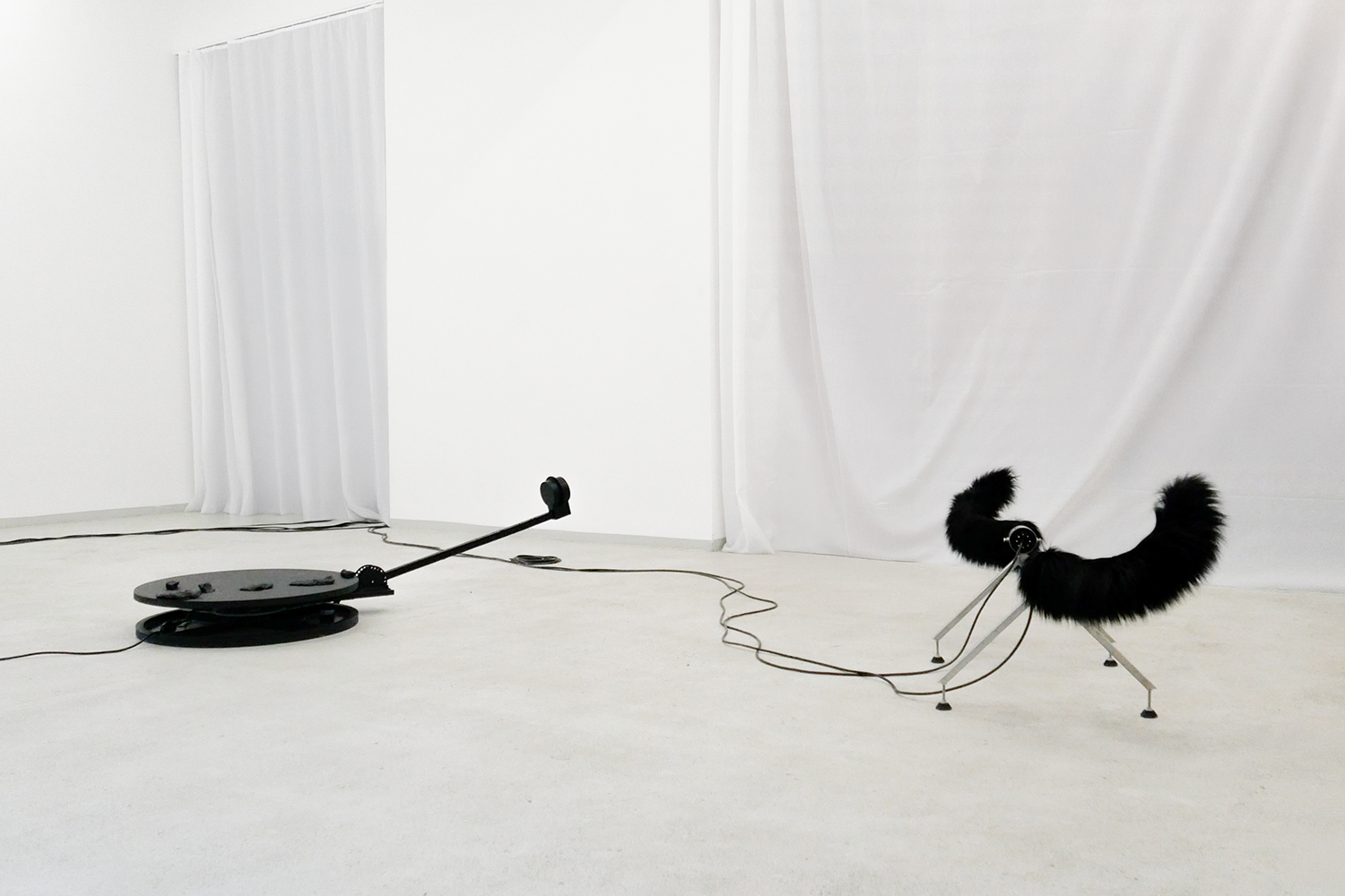 1/5 Photo by Niki Pielsticker